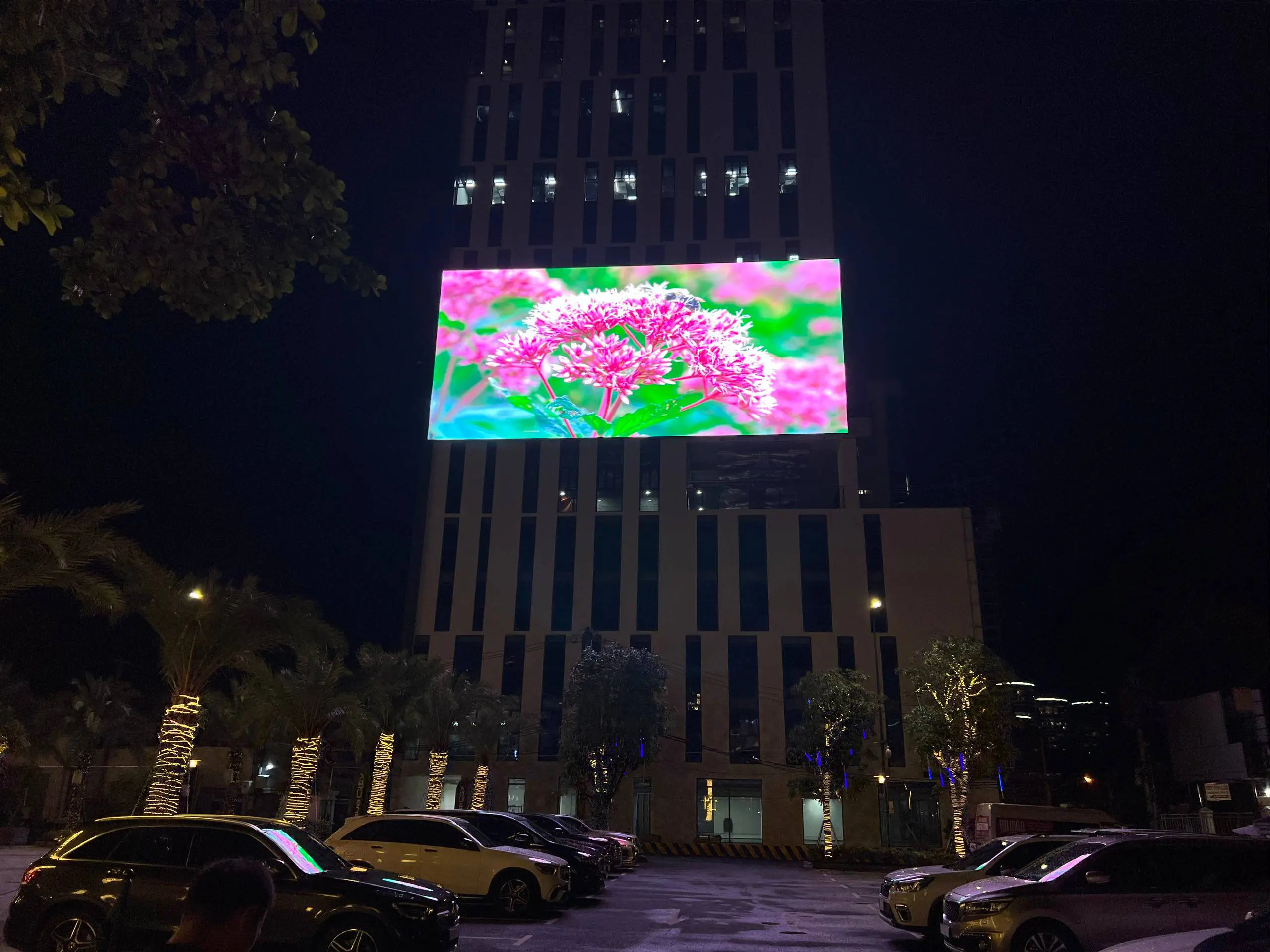 Màn Hình LED Ngoài Trời