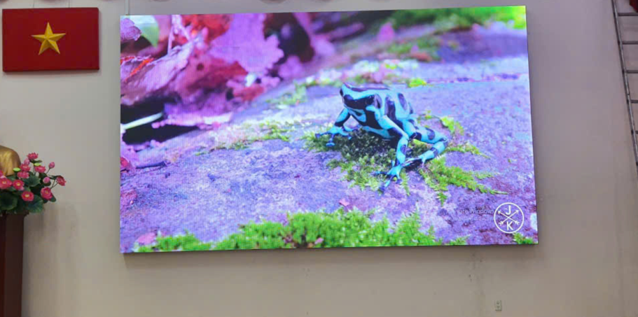 màn hình led trong nhà