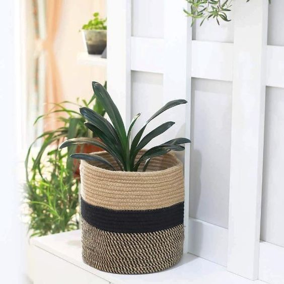 beo-coi-luxstore-decor-that-chat