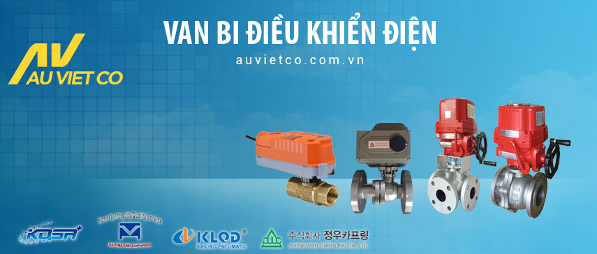 Các loại van bi điều khiển điện