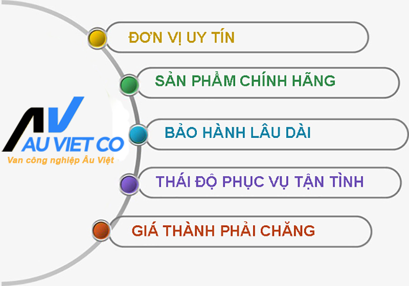 Cam kết công ty Âu Việt