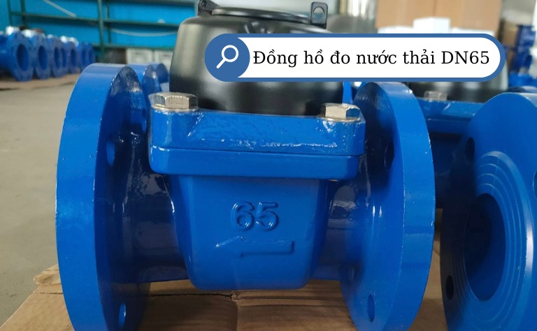 Đồng hồ đo nước thải DN65