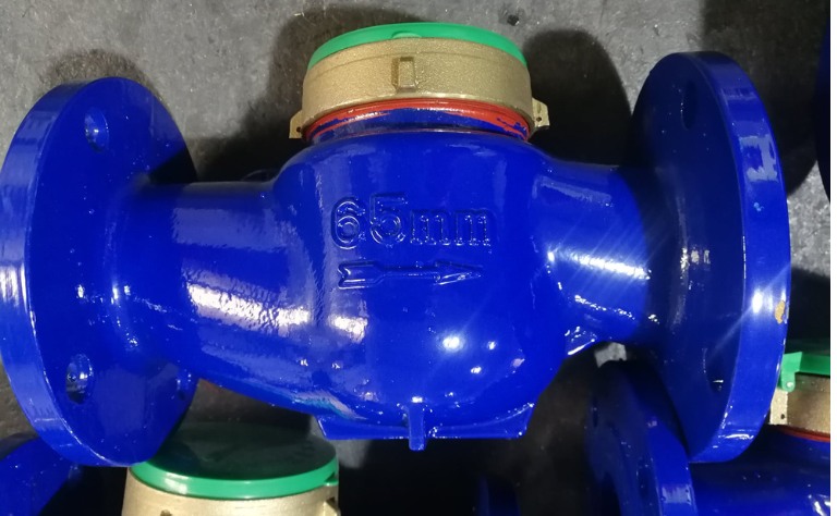 Đồng hồ đo nước thải T-Flow DN65