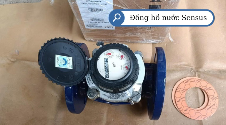 Đồng hồ nước sạch Sensus