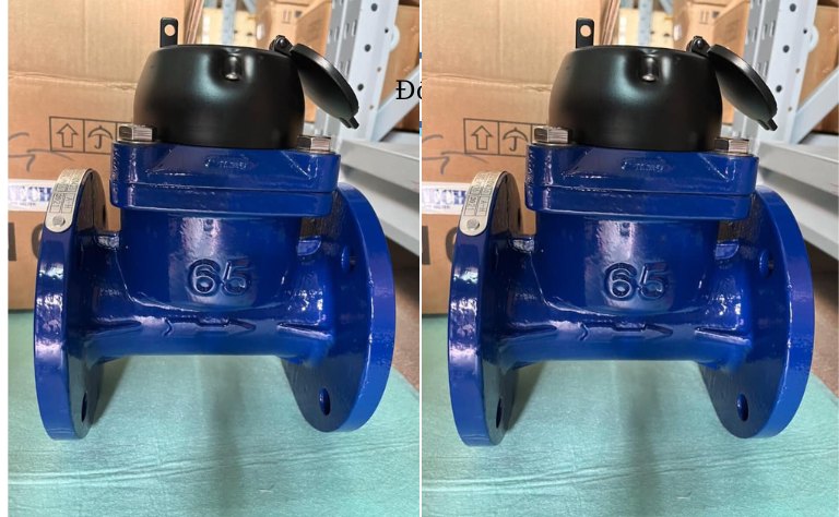 Đồng hồ nước thải Flowtech DN65