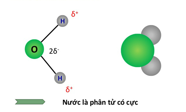 Khối lượng phân tử nước