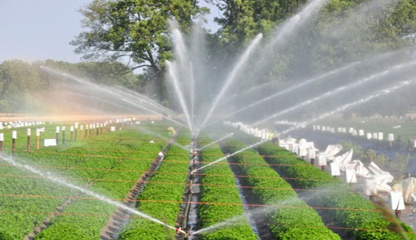 Tính áp lực nước giúp thuận lợi trong thiết kế ống nước nông nghiệp