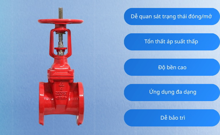 Ưu điểm nổi bật van chặn ty nổi DN100