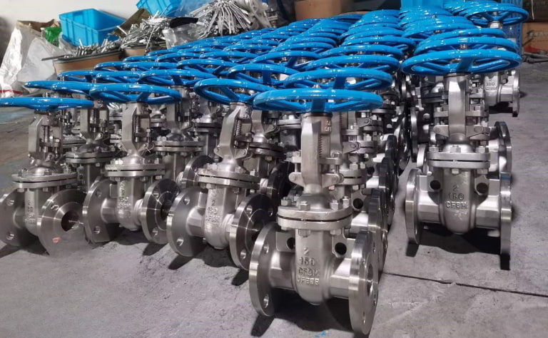 Van cổng inox 316 ty nổi