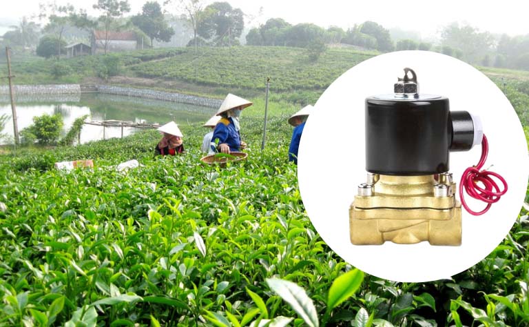 Van công nghiệp Âu Việt cung cấp van điện từ cho đồi chè Tân Cương