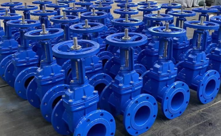 Van cổng ty nổi DN50 tại kho Van công nghiệp Âu Việt