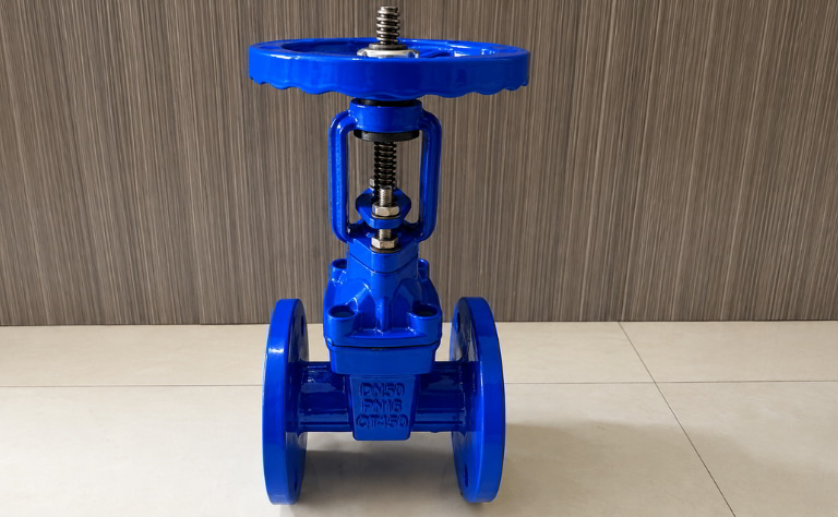 Van cổng ty nổi DN50 thân gang