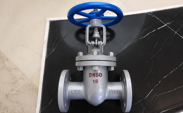 Van cổng ty nổi DN50 thân thép