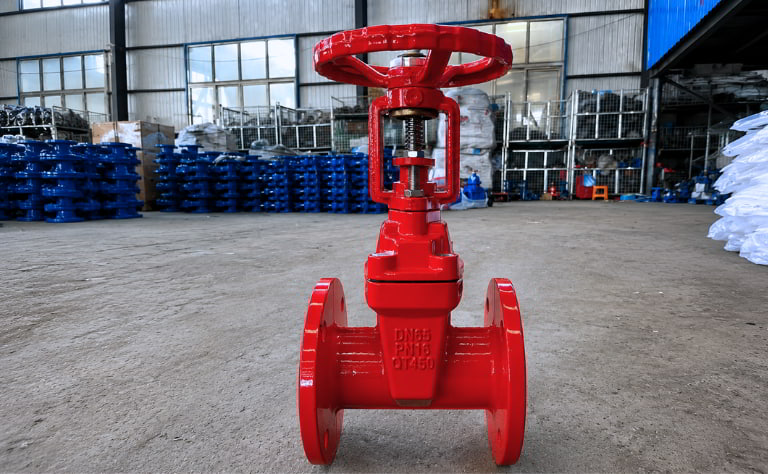 Van cổng ty nổi DN65 thân gang