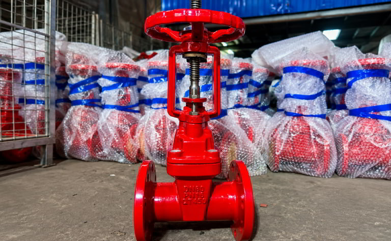 Van cổng ty nổi DN80 thân gang