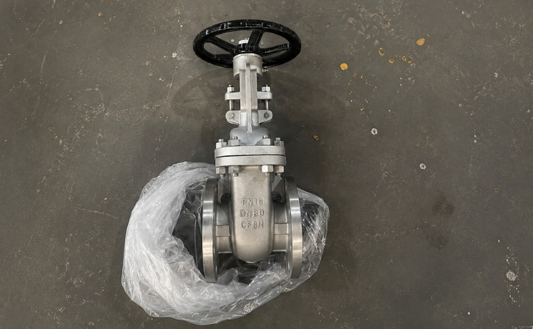 Van cổng ty nổi DN80 thân inox