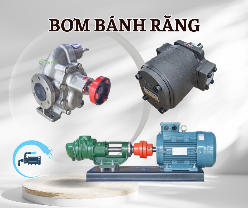 Bơm bánh răng- Thiết bị cần thiết trong công nghiệp