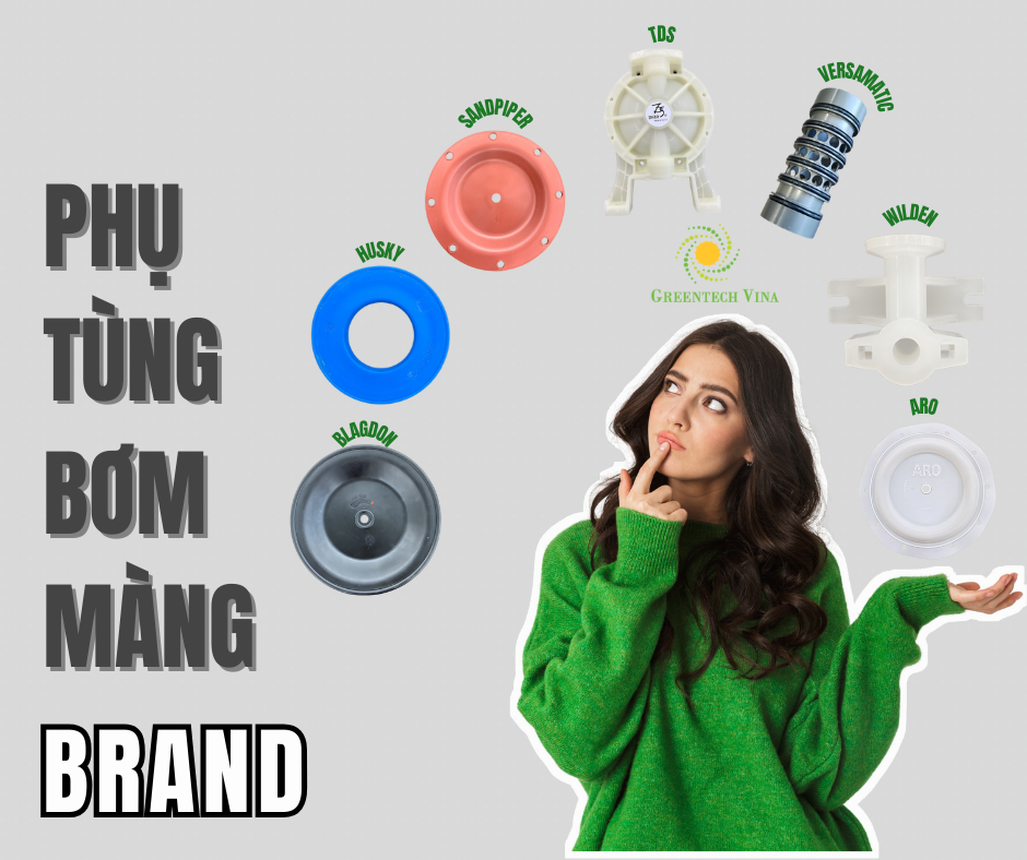 Các thương hiệu phụ tùng bơm màng được ưa chuộng nhất hiện nay