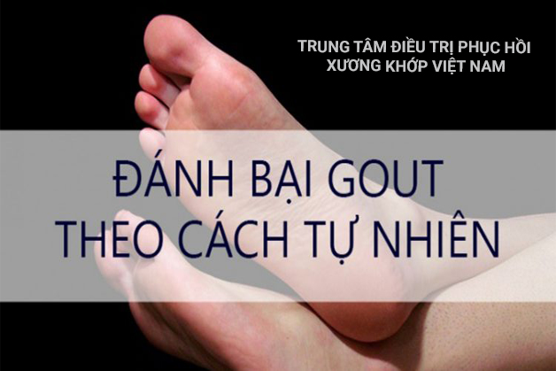 Bệnh Gout