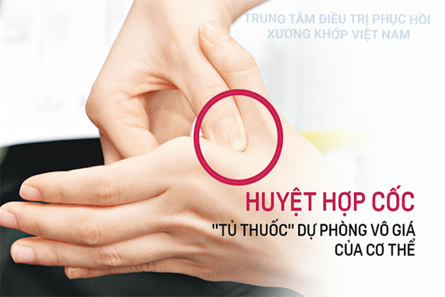 Huyệt hợp cốc