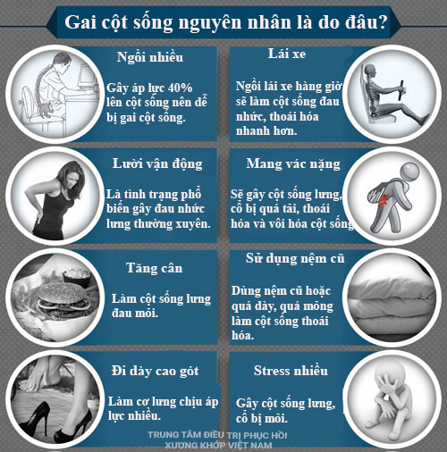 Nguyên nhân Gai cột sống