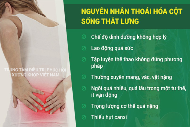 Nguyên nhân Thoái hóa cột sống