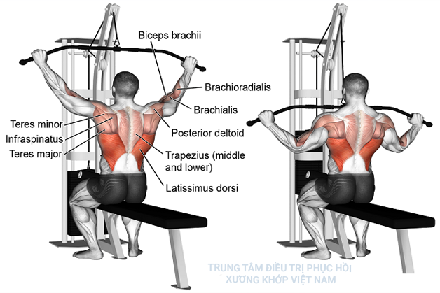 Tập sức mạnh của từng nhóm cơ