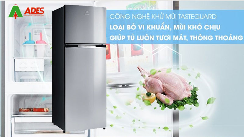 He thong khu mui va diet khuan Tasteguard