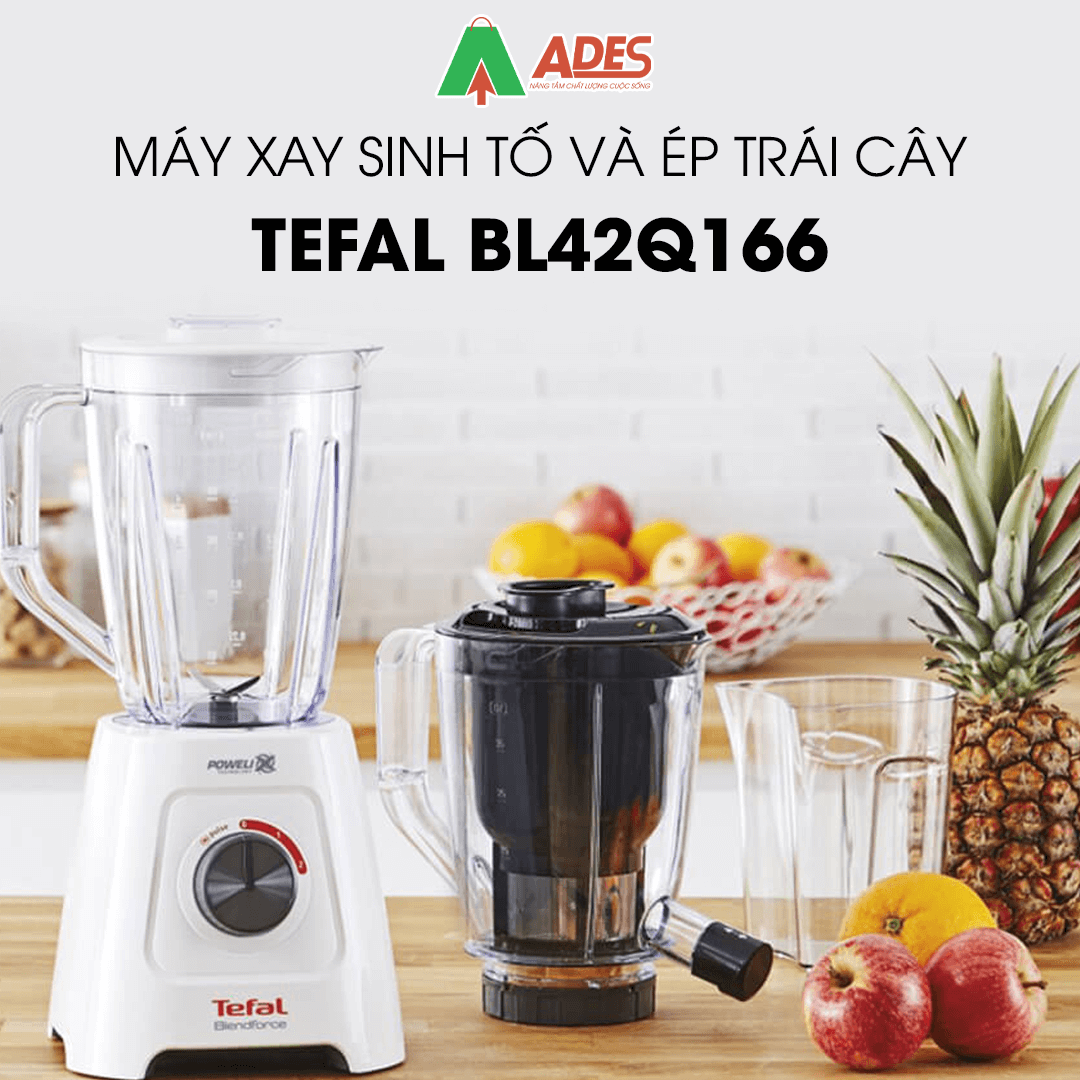 Tefal BL42Q166