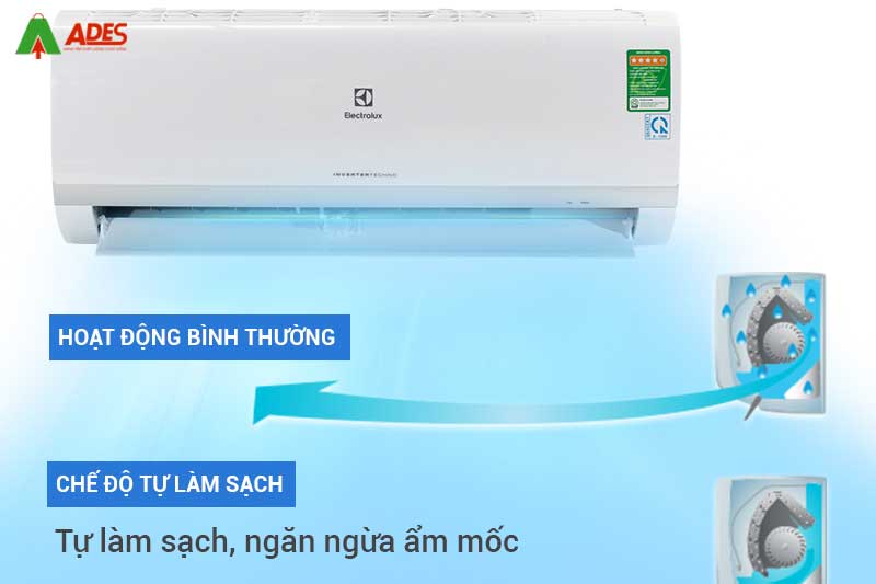 Che do tu lam sach hieu qua va nhanh chong
