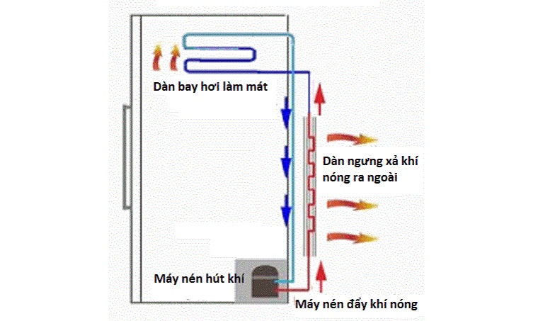 Cấu tạo và nguyên lý hoạt động của tủ đông