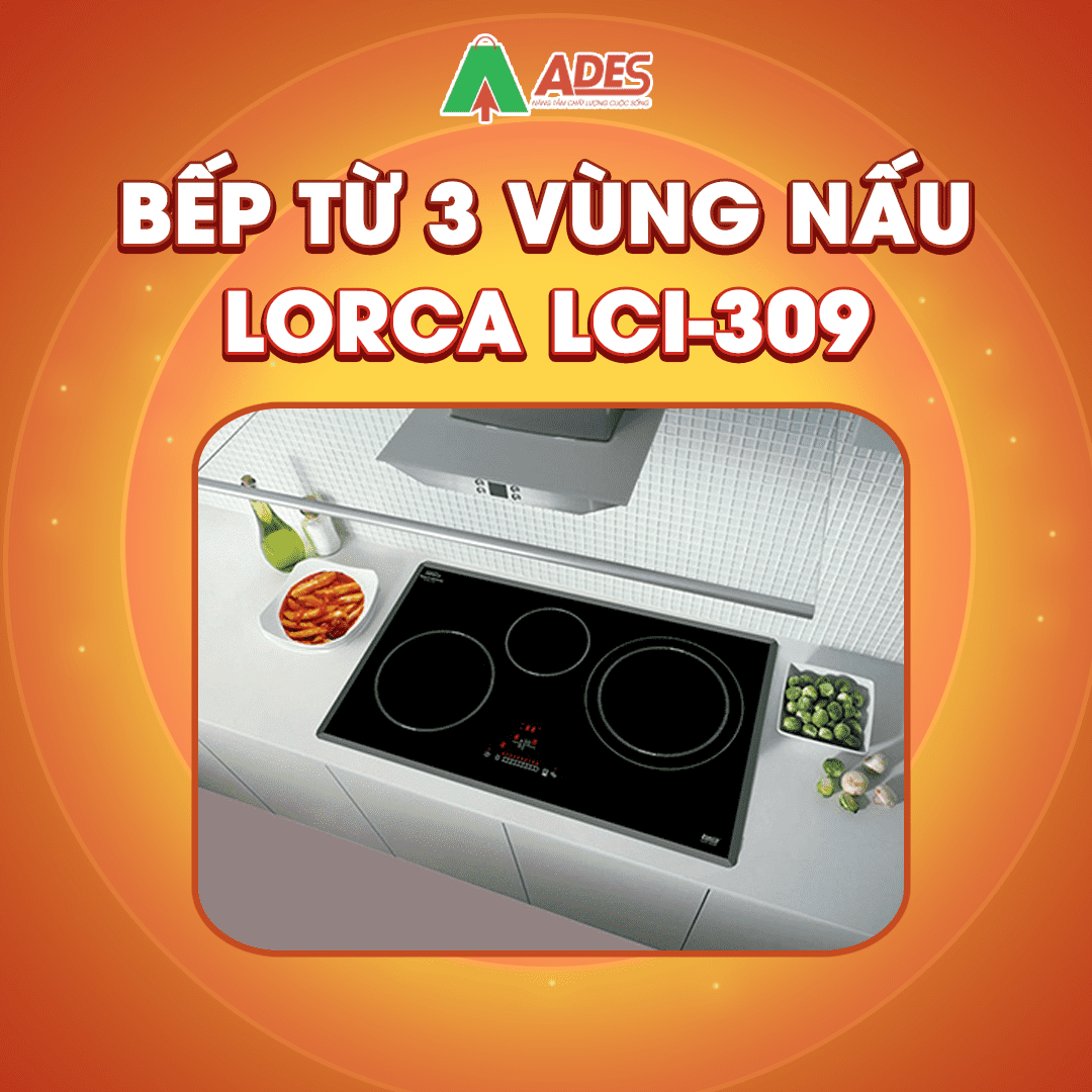 Bep tu LCI-309