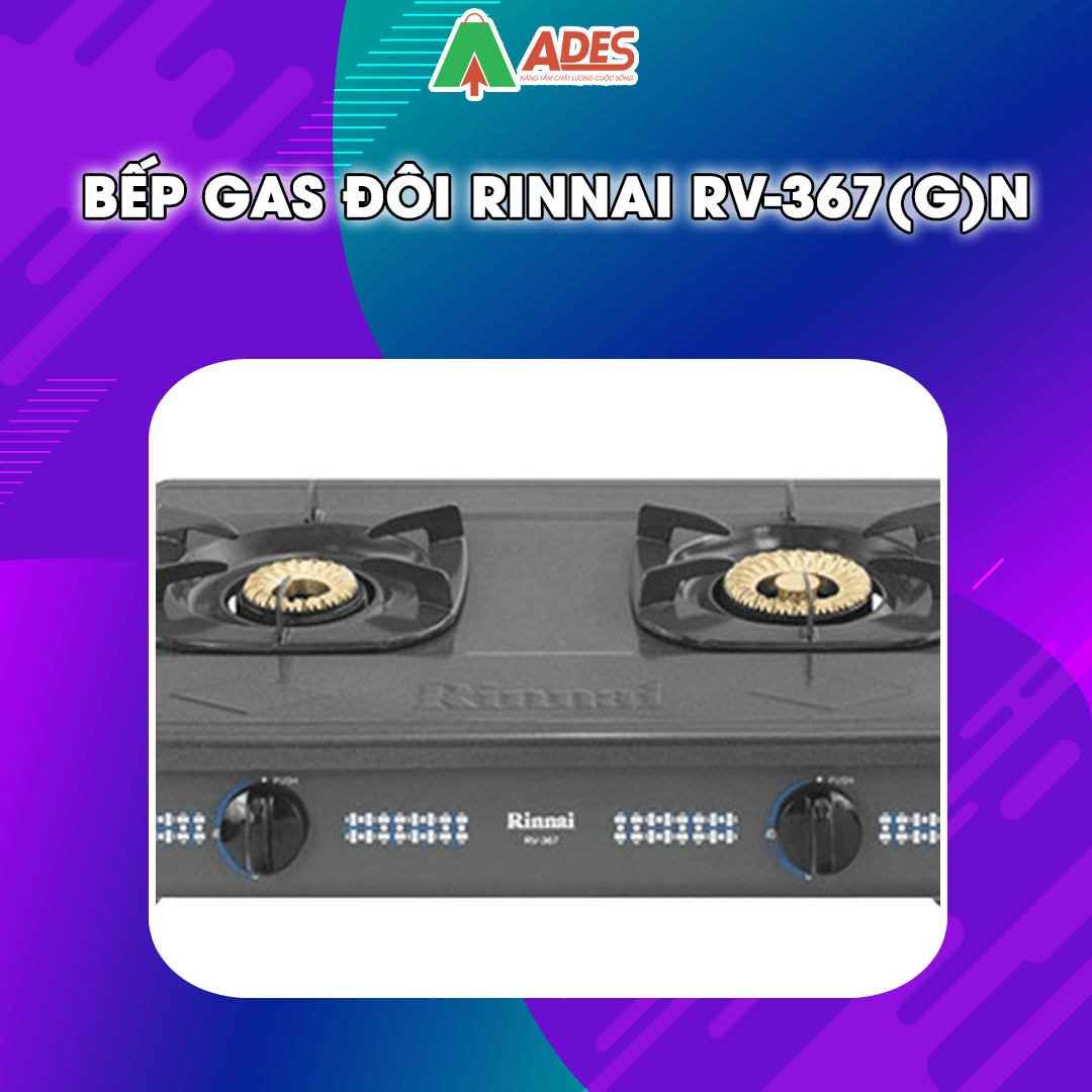 bep-gas-doi-rinnai-rv-367-g-n