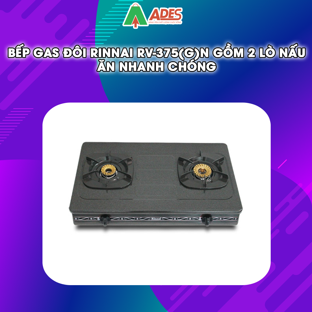 bep gas Rinnai RV-375(G)N