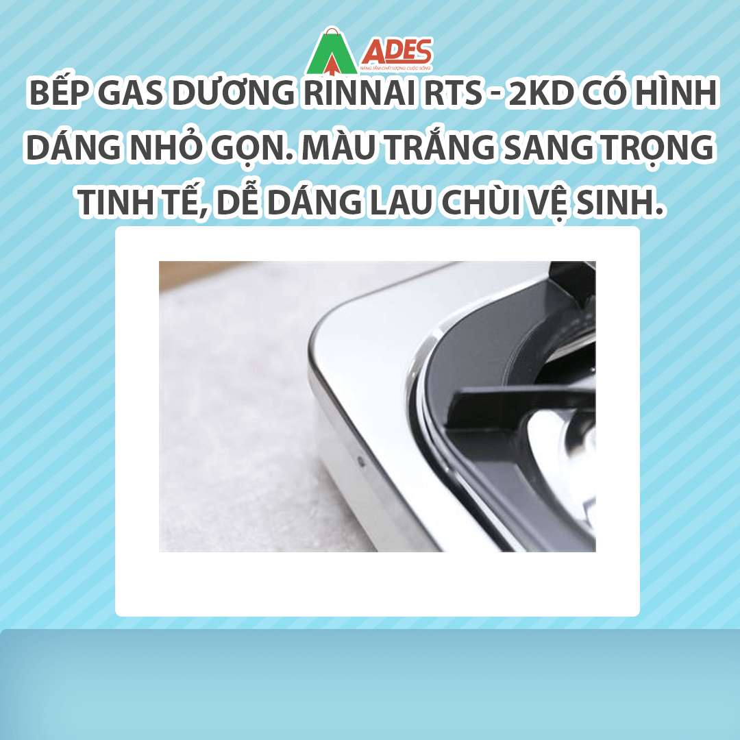 bep-gas-duong-rinnai-rts-2kd