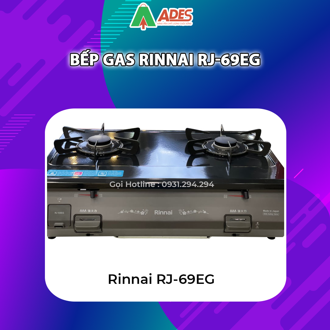 Bep gas Rinnai RJ-69EG