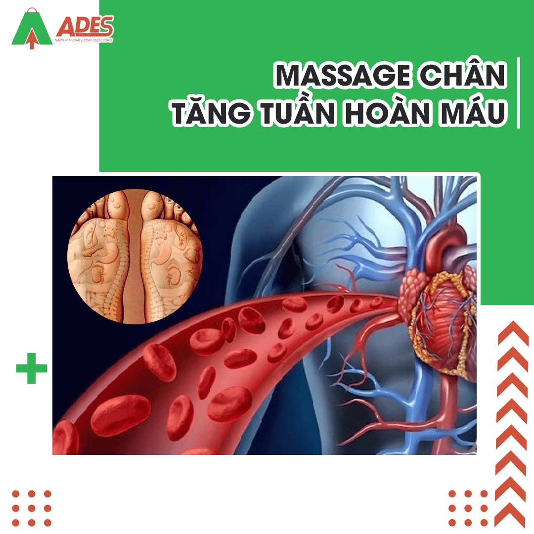 massage chan tang tuan hoan mau