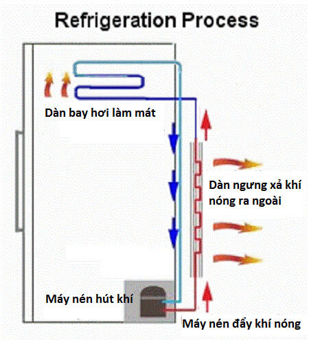 Đặc điểm cấu tạo của tủ đông