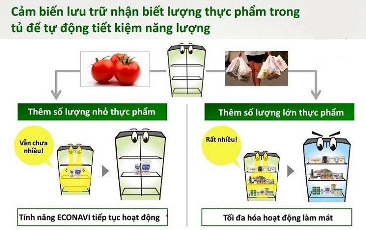 Cảm biến lưu trữ.