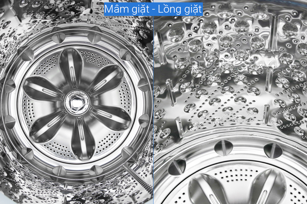 Công nghệ 6 Motion