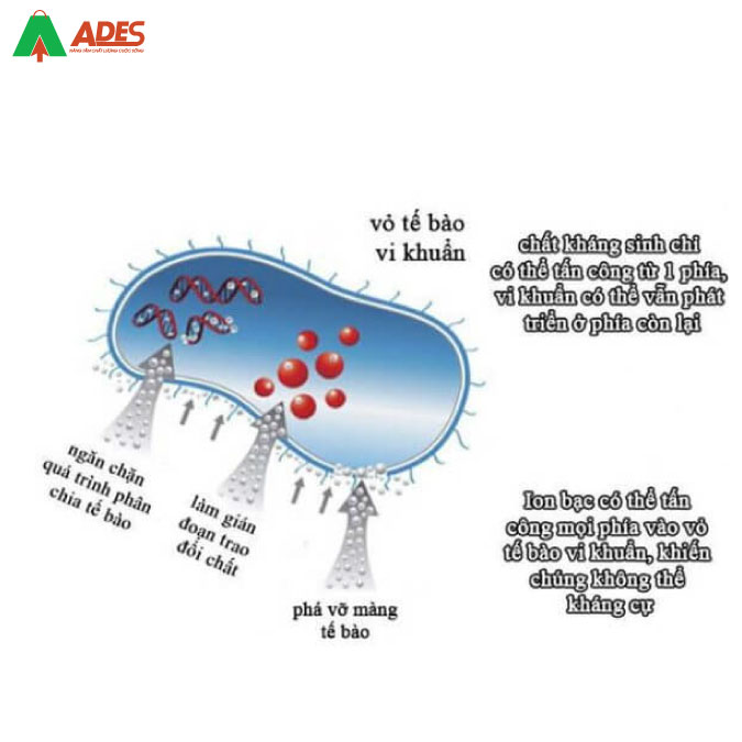 Diet khuan bang cong nghe Nano Bac