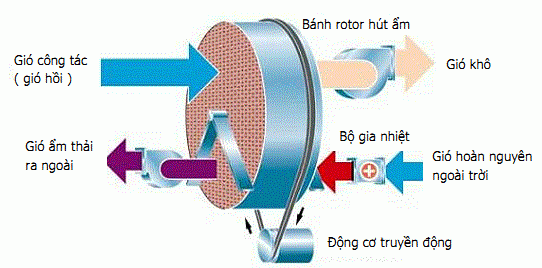 Sơ đồ nguyên lý máy hút ẩm