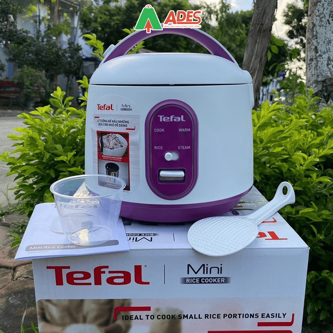 Tefal RK224168