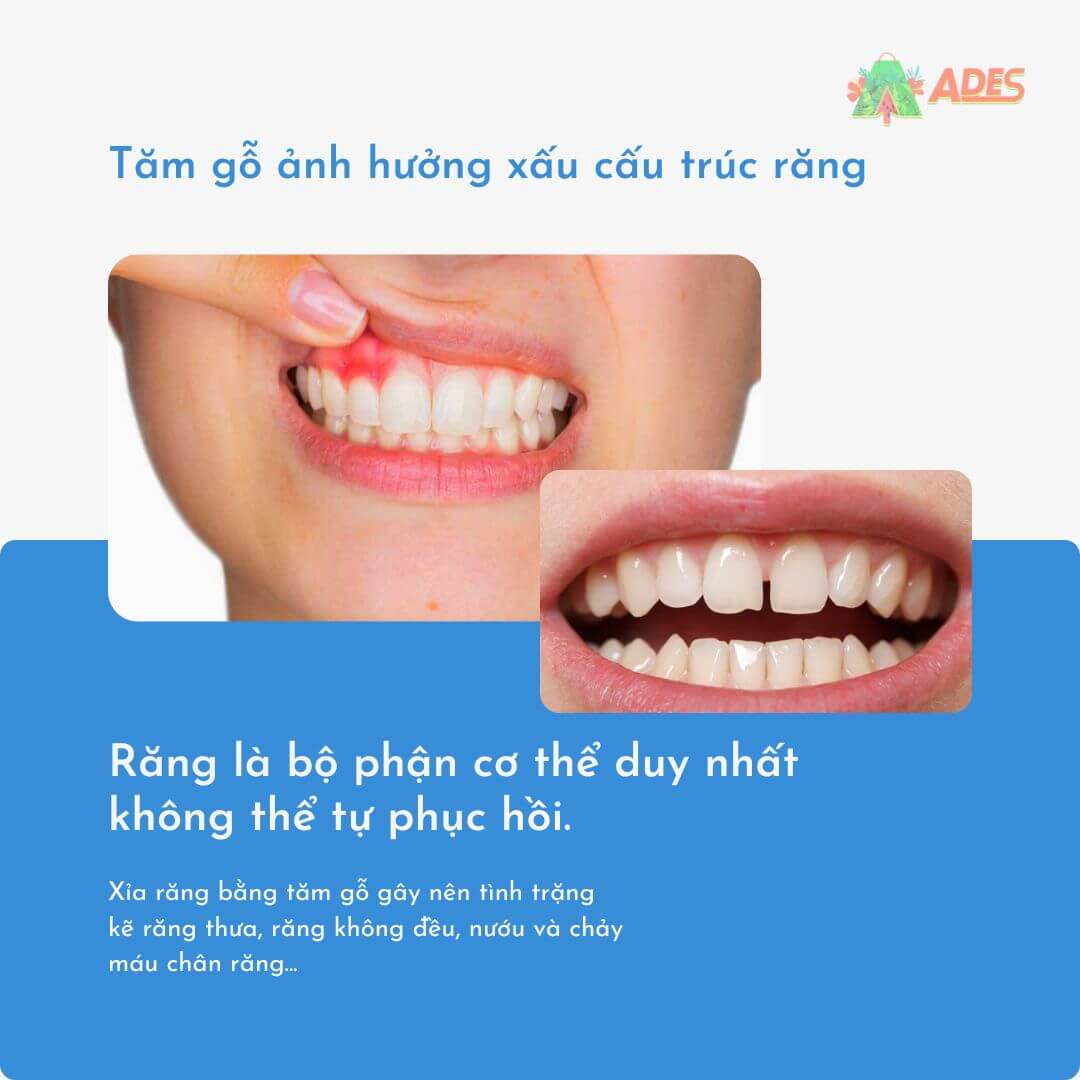 tam go anh huong den cau truc rang