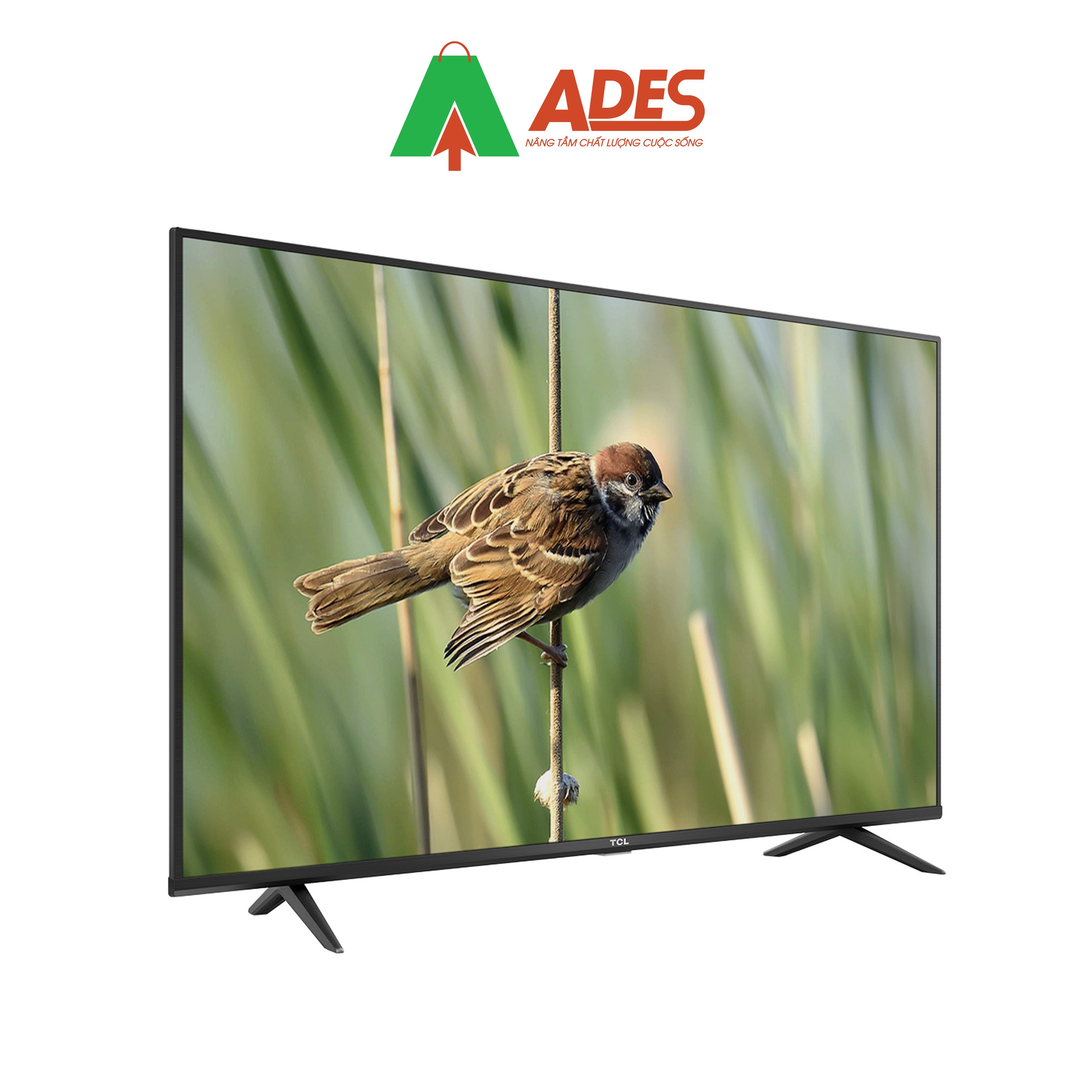 Hinh anh thuc te Android Tivi TCL 50 Inch 50P618