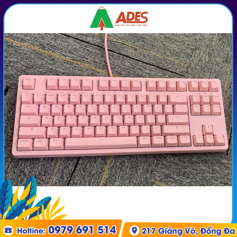 Edra EK387 Outemu Switch Dream Pink gia soc