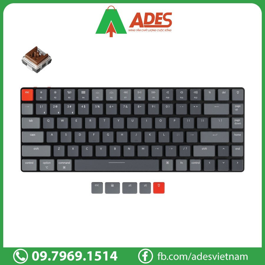 Keychron K3V2 RGB Backlight Brown Keychron Switch