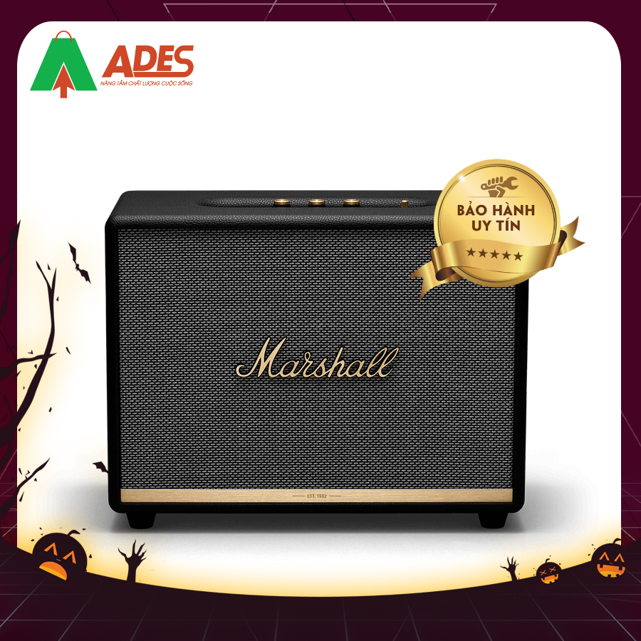 Loa Bluetooth MARSHALL Woburn 2