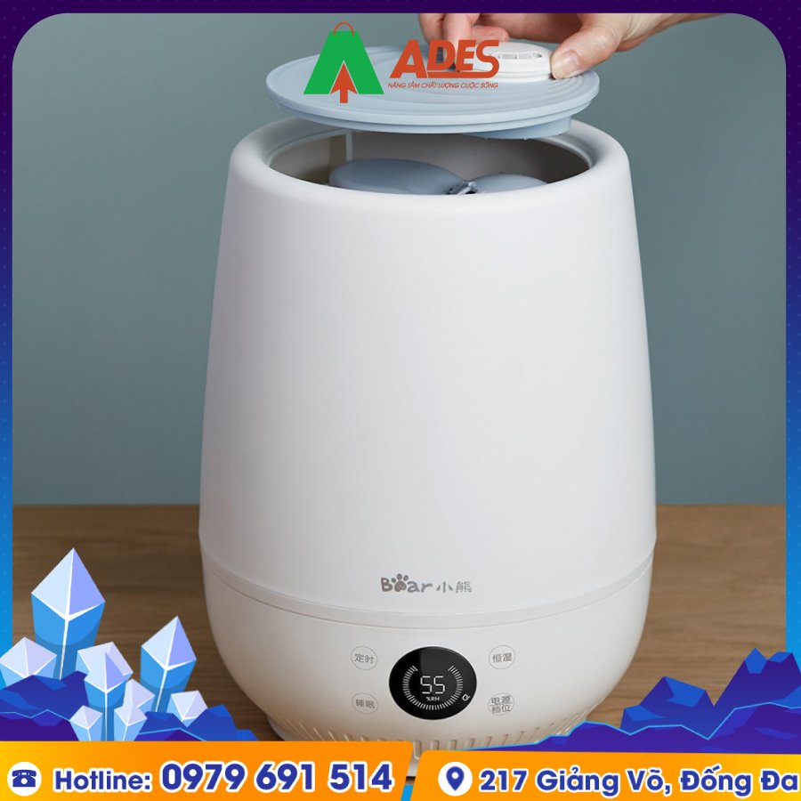 BEAR JSQ C50Q1 gia re