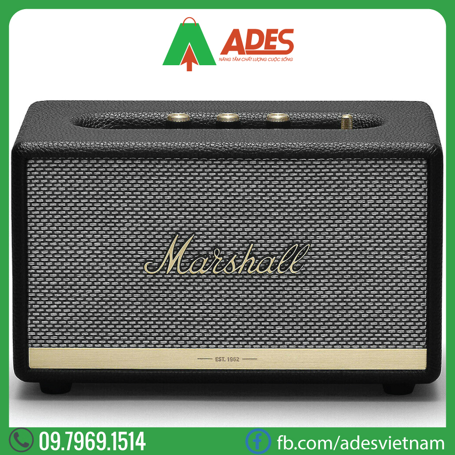 Loa Bluetooth MARSHALL Acton 2